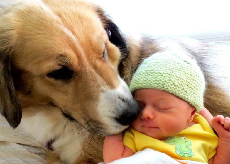 baby with dog